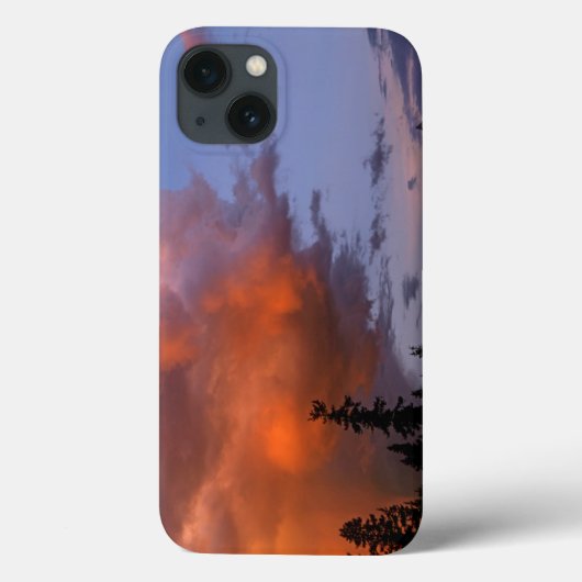 アメリカ合衆国 オレゴン州 アンプクワ国有林。嵐2 Case-Mate iPhoneケース (裏面)