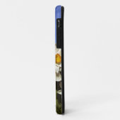 アメリカ合衆国, オレゴン州, ウィラメットバレー。水仙の花が咲く Case-Mate iPhoneケース (裏面/左)
