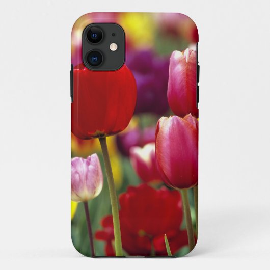 アメリカ合衆国 オレゴン州 ウィラメットバレー。美しい Case-Mate iPhoneケース (裏面)