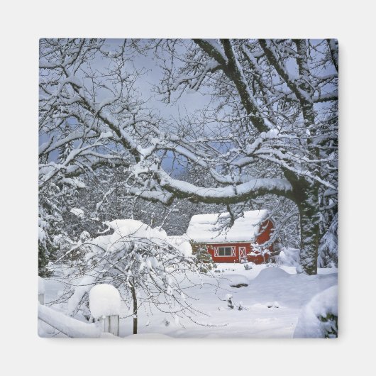 アメリカ合衆国, オレゴン州, クラカマス郡。新雪 マグネット (正面)