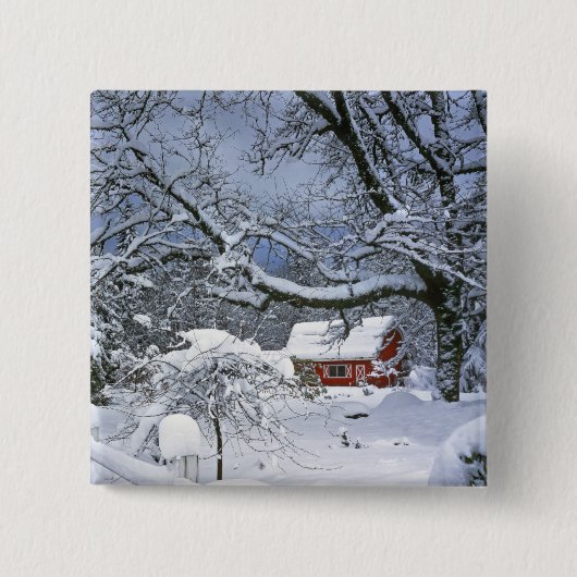 アメリカ合衆国、オレゴン州、クラカマス郡。新雪 缶バッジ (正面)
