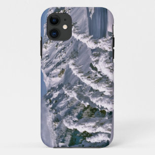 アメリカ合衆国 オレゴン州 クレーター・レイク国立公園 雪にたわむ木々 iPhone 11 ケース