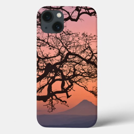 アメリカ合衆国 オレゴン州 コロンビア川渓谷国立2 Case-Mate iPhoneケース (裏面)