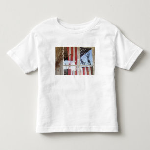 アメリカ合衆国、オレゴン州、シャニコ。窓辺の トドラーTシャツ