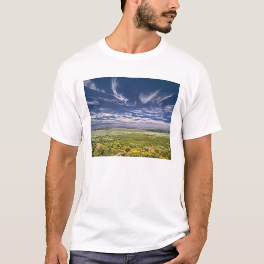 アメリカ合衆国 オレゴン州 スティーンズマウンテン 春の訪れ Tシャツ (正面)