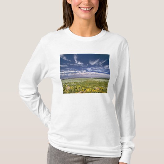 アメリカ合衆国 オレゴン州 スティーンズマウンテン 春の訪れ Tシャツ (正面)