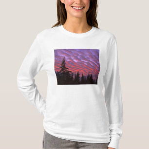 アメリカ合衆国 オレゴン州 スリーシスターズ原生地域 鮮やかな Tシャツ