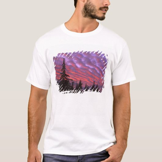 アメリカ合衆国, オレゴン州, スリーシスターズ原生地域, 鮮やか Tシャツ (正面)
