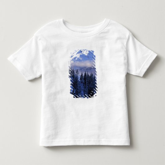 アメリカ合衆国, オレゴン州, デシューツ国有林, 南 トドラーTシャツ (正面)