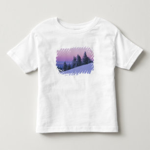 アメリカ合衆国 オレゴン州 デシューツ国有林 夕暮れ トドラーTシャツ