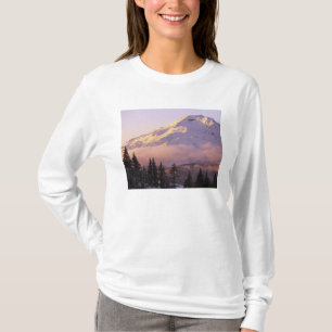 アメリカ合衆国, オレゴン州, デシューツ国有林, Tシャツ