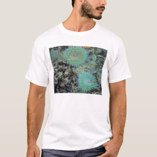 アメリカ合衆国, オレゴン州, ネプチューン州立公園, 宝石のような海 Tシャツ