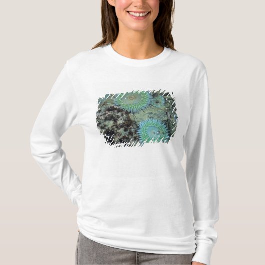 アメリカ合衆国, オレゴン州, ネプチューン州立公園, 宝石のような海 Tシャツ (正面)
