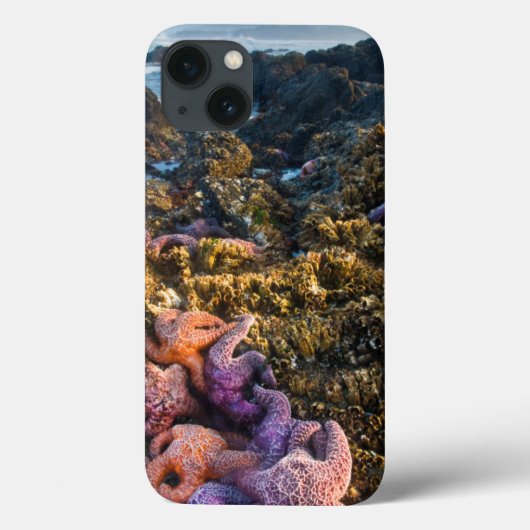アメリカ合衆国、オレゴン州。ヒトデと海の星 Case-Mate iPhoneケース (裏面)
