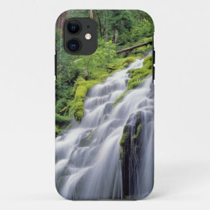 アメリカ合衆国、オレゴン州、プロキシフォールズ。プロキシフォールズの急流 iPhone 11 ケース