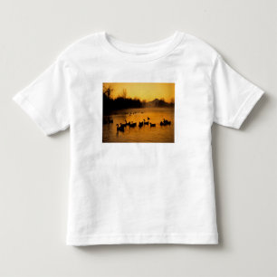 アメリカ合衆国、オレゴン州、ポートランド。コロンビアの水鳥 トドラーTシャツ