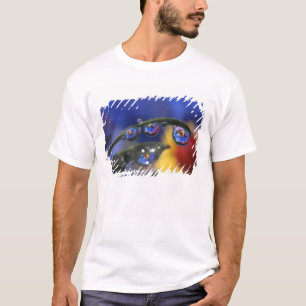 アメリカ合衆国, オレゴン州, ポートランド, テントウムシのクローズアップ Tシャツ