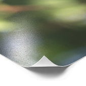 アメリカ合衆国, オレゴン州。雄のミズイロビタキ フォトプリント            (角)