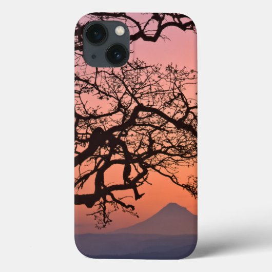 アメリカ合衆国 オレゴン コロンビア川渓谷国立 2 Case-Mate iPhoneケース (裏面)