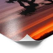 アメリカ合衆国，カリフォルニア。ジョシュア・ツリー・ナショナル フォトプリント            (角)