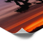 アメリカ合衆国，カリフォルニア。ジョシュア・ツリー・ナショナル ポスター (角)