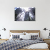 アメリカ合衆国,カリフォルニア。デルノルテコースト州2 キャンバスプリント (インサイチュ (寝室))