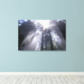 アメリカ合衆国,カリフォルニア。デルノルテコースト州2 キャンバスプリント (インサイチュ (ウッドフロア))