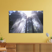 アメリカ合衆国,カリフォルニア。デルノルテコースト州2 キャンバスプリント (インサイチュ (リビング))