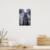 アメリカ合衆国，カリフォルニア。デルノルテコースト州 ポスター (キッチン)