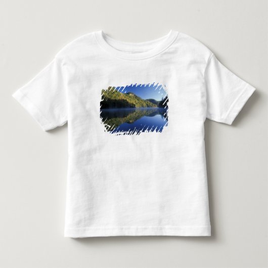 アメリカ合衆国, ケンタッキー州。ダニエル・ブーン国有林, トドラーTシャツ (正面)