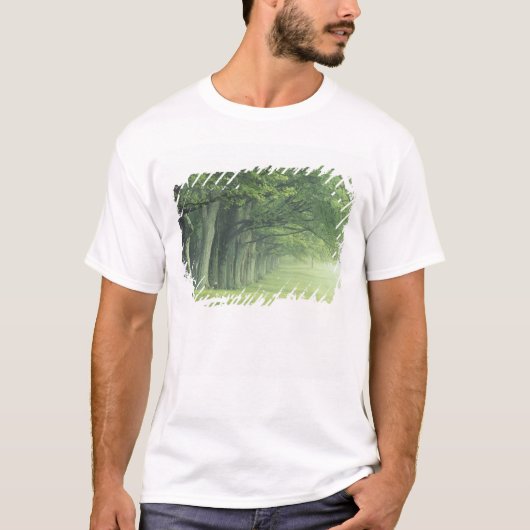 アメリカ合衆国、ケンタッキー州 春の並木 Tシャツ (正面)