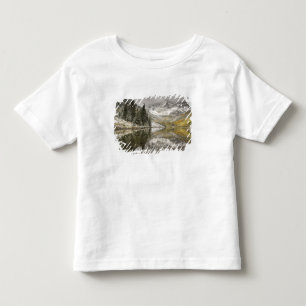 アメリカ合衆国, コロラド州, ホワイトリバー国有林, トドラーTシャツ