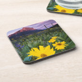 アメリカ合衆国，コロラド，クレステッド·バット山 コースター (左側)