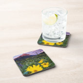 アメリカ合衆国，コロラド，クレステッド·バット山 コースター (右側)