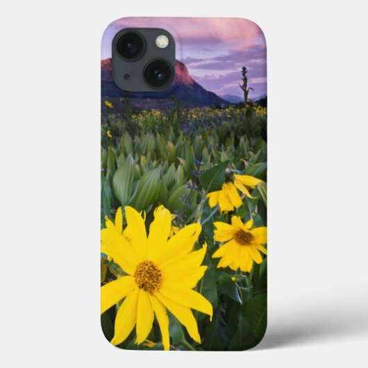 アメリカ合衆国,コロラド,クレステッド·バット山 Case-Mate iPhoneケース (裏面)