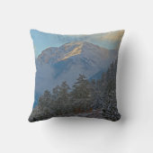 アメリカ合衆国,コロラド,マウンテンインエステスパーク クッション (裏面)