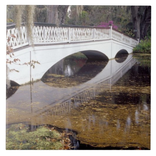 アメリカ合衆国、サウスカロライナ、チャールストンマグノリア タイル (正面)