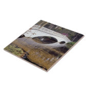 アメリカ合衆国、サウスカロライナ、チャールストンマグノリア タイル (側面)