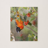 アメリカ合衆国，サウス・パドレアイランド，テキサス州，ボルティモア・オリオール ジグソーパズル (縦)