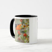 アメリカ合衆国,サウス・パドレアイランド,テキサス州,ボルティモア・オリオール マグカップ (正面左)