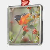 アメリカ合衆国,サウス・パドレアイランド,テキサス州,ボルティモア・オリオール メタルオーナメント (左)