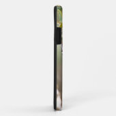 アメリカ合衆国，サウス・パドレアイランド，テキサス州，ボルティモア・オリオール Case-Mate iPhoneケース (裏面/右)