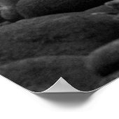 アメリカ合衆国，サンオノフレ州ビーチ, TRESTLES ポスター (角)