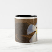 アメリカ合衆国,サンディビーチ,マウイ島のプルメリア ツートーンマグカップ (中央)