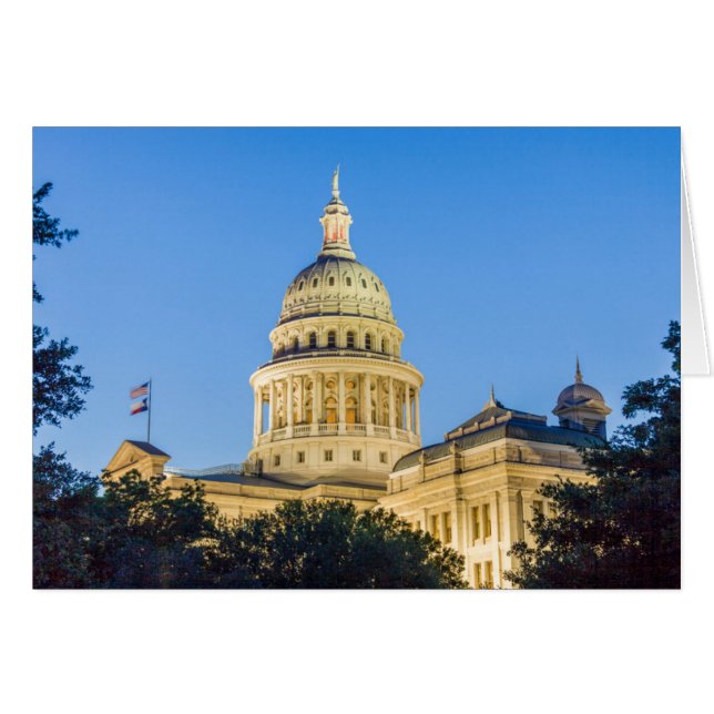 アメリカ合衆国 テキサス州 オースティン。州会議事堂 (1888) 3 (正面横)