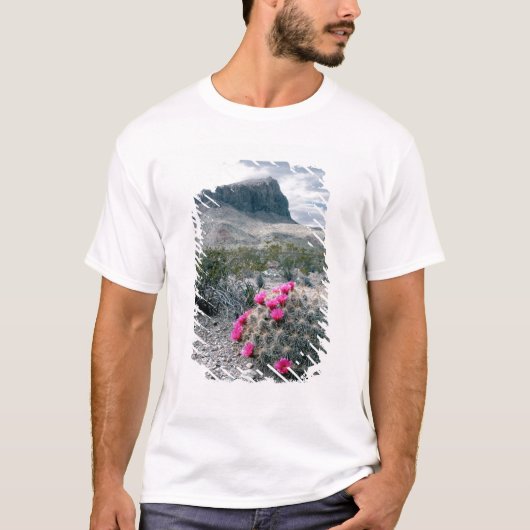 アメリカ合衆国 テキサス州 ビッグベンド国立公園 花盛り Tシャツ (正面)