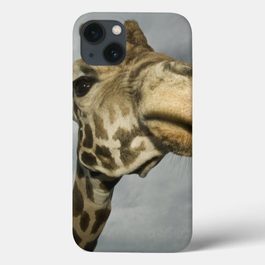 アメリカ合衆国, テキサス州, フォッシルリム野生生物地域, キリン Case-Mate iPhoneケース (裏面)
