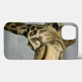 アメリカ合衆国, テキサス州, フォッシルリム野生生物地域, キリン Case-Mate iPhoneケース (裏面 (横))