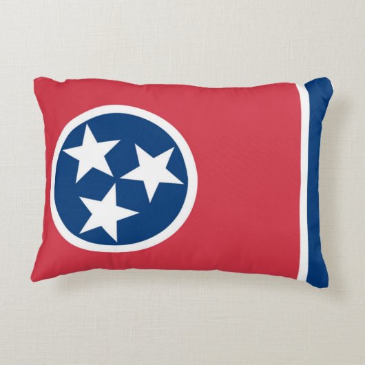 アメリカ合衆国，テネシー州の国旗 アクセントクッション (裏面)