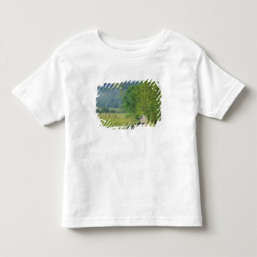 アメリカ合衆国,テネシー州,グレート・スモーキー山脈国立公園, トドラーTシャツ (正面)